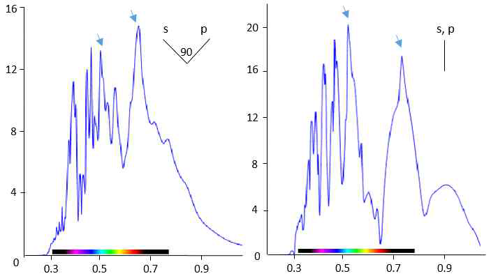까치 꼬리 연두색 부분의 입사각 변화에 따른 반사도 변화 시뮬레이션 (FDTD 결과).