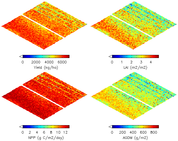 Projections of simulated yield, leaf area index (LAI), net primary productivity (NPP), and above-ground dry mass (AGDM) at 70 days after planting for the paddy fields of interest at Chonnam National University, Gwangju, Korea