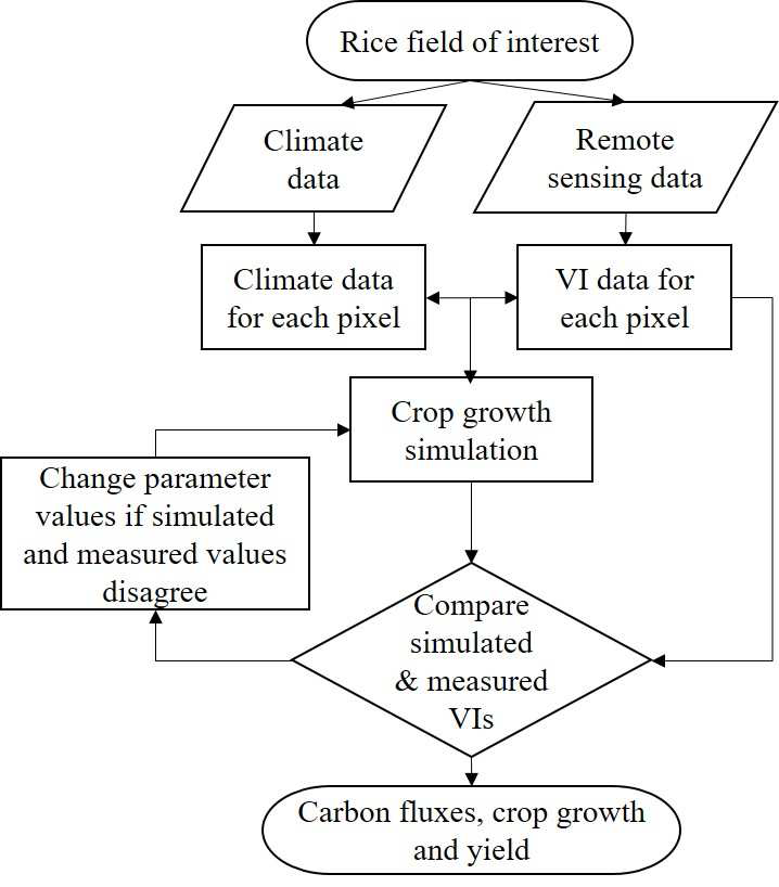 Schematic representation of the integrated crop modeling system