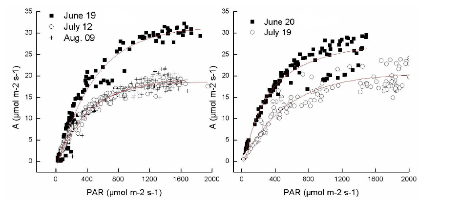 Net assimilation rate (A) of rice leaves as a function of photosynthetically active radiation (PAR) for different growth stages/dates over the growing season in 2013