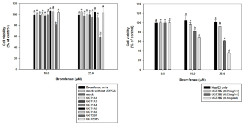 recombinant UGT를 이용한 HepG2 세포의 독성 평가