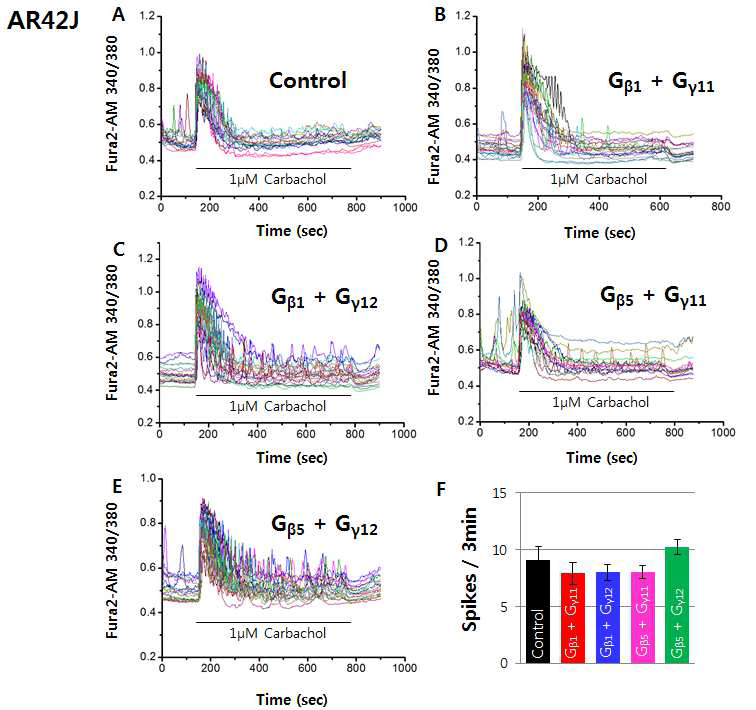 Gβγ co-transfection에 따른 Calcium oscillation의 변화 A) empty backbone B) pEGFP-N3 Gβ1 + p3XFLAG-CMV-14 Gγ11 C) pEGFP-N3 Gβ1 + p3XFLAG-CMV-14 Gγ12 D) pEGFP-N3 Gβ5 + p3XFLAG-CMV-14 Gγ11 E) pEGFP-N3 Gβ5 + p3XFLAG-CMV-14 Gγ12 F) Frequency of spike in calcium oscillation