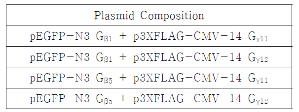 Co-transfection을 통한 특이 Gβγ 조합