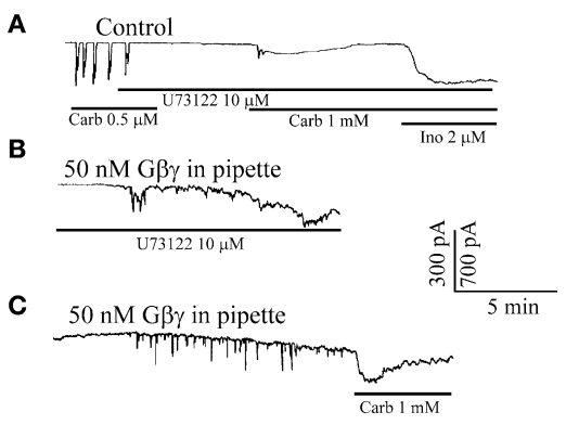 PLCβ 활성과 독립적인 Gβγ에 의한 칼슘농도 변화 쥐(rat) 췌장선세포에서 파이펫 내에 Gβγ 50nM를 처 리하여 Ca2+-activated Cl- 전류를 측정하였음. A. 대조군. PLCβ 저해제인 U73122를 처리한경우에서 current가 사라짐. B. U73122를 처리했음에도 불구하고, Gβγ에 의한 Cl- 전류가 측정됨. C. Gβγ 단독으로 Cl- 전류를 형성함