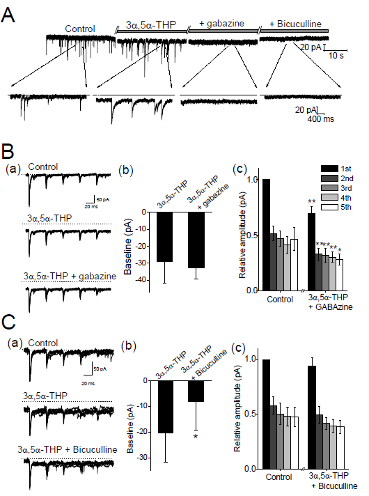 3α,5α -THP effect on evoke EPSCs (eEPSC).