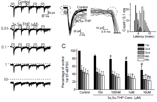 Bicuculline not gabazine block 3α-OH-DHP on eEPSC and holding current.