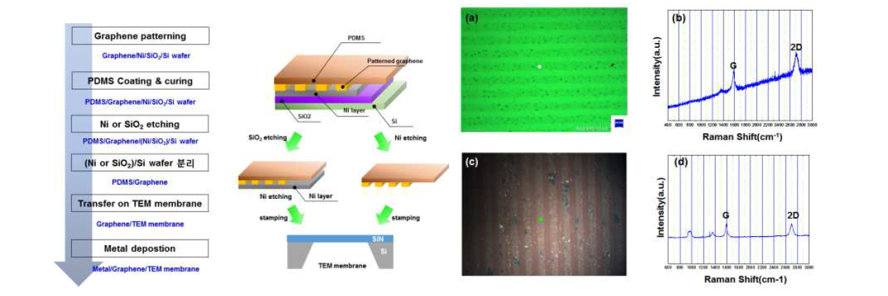 PDMS를 이용한 패터닝된 multi-layer 그래핀의 전사 공정도, 패터닝된 multi-layer 그래핀의 전사: (a, b) optical lithography 후 그리고 (c, d) 그래핀 전사 후 광학 이미지와 Raman shift 결과