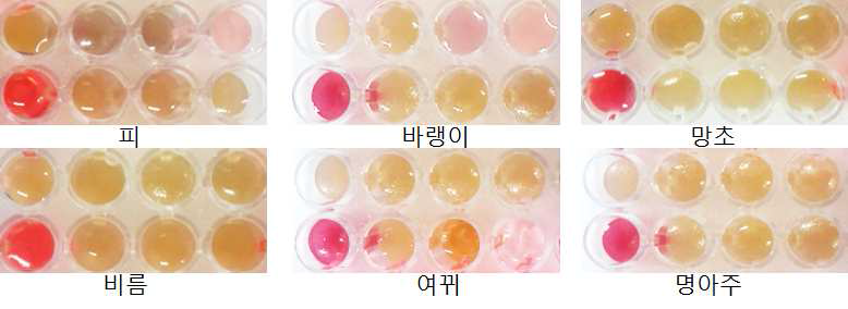 flucetosulfuron 처리에 따른 초종별 발색 여부 비교 (기준처리량 ~ 10-6)