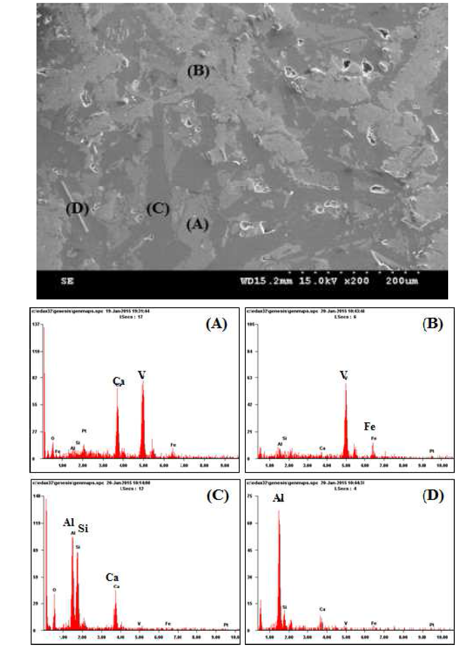 SEM/EDX microgragh(200배) of bottom part of the base sample