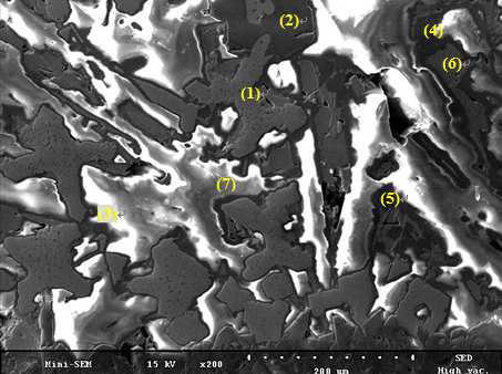 SEM microgragh of bottom part of Na2O 2.5% content