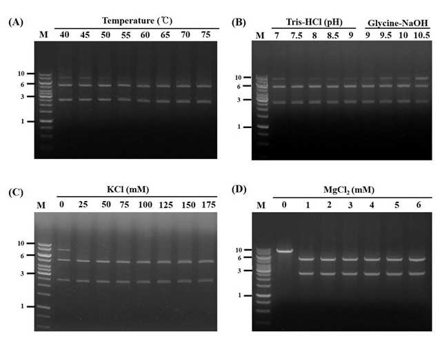 PI-Tba5-3의 endonuclease 활성에 관한 온도 (A), pH (pH), KCl (C) 및 MgCl2 (D) 농도의 효과