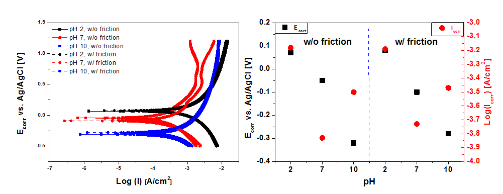 다양한 pH 영역에서 friction 유/무에 따른 Cu film의 부식거동