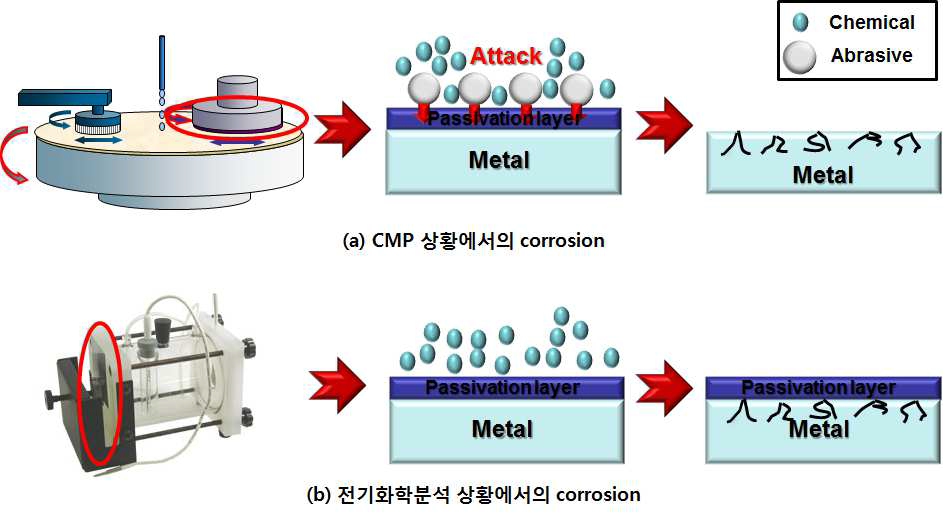 CMP에 있어서의 마모와 Corrosion의 발생