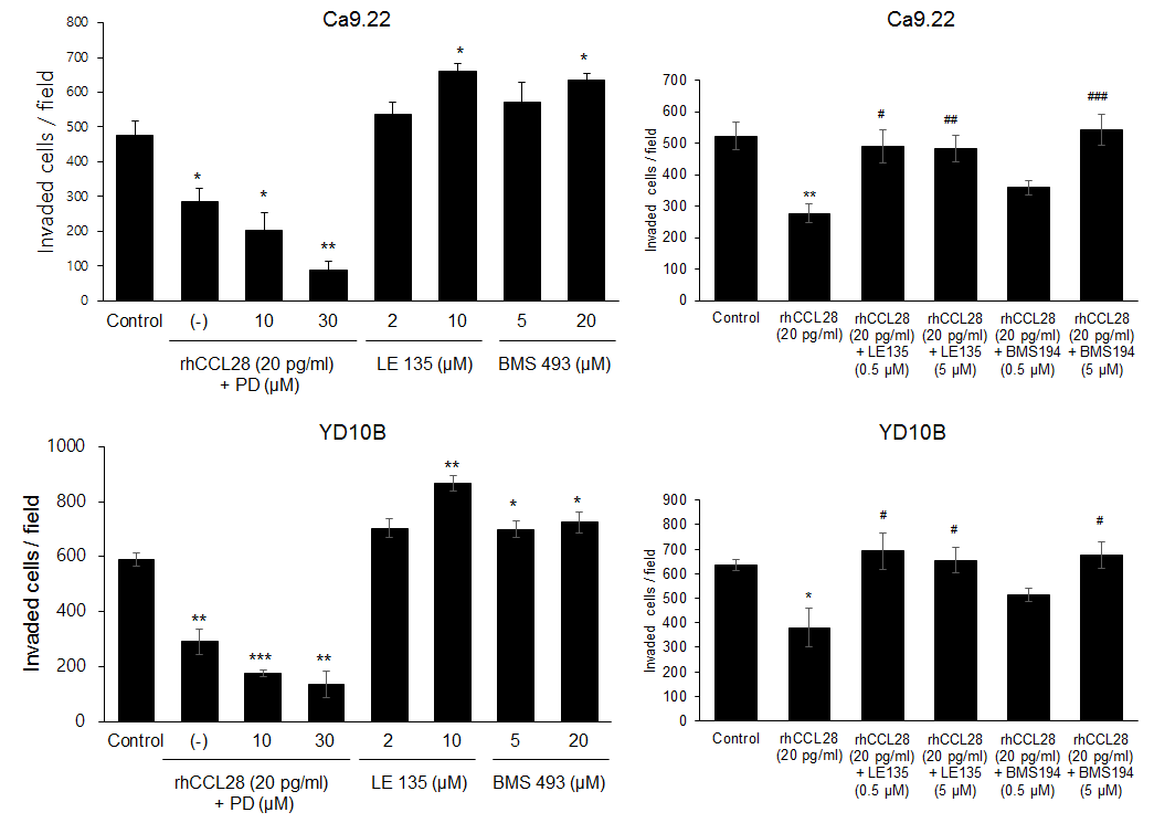 CCL28으로 유도된 침습 억제능에 대한 저해 제의 효과