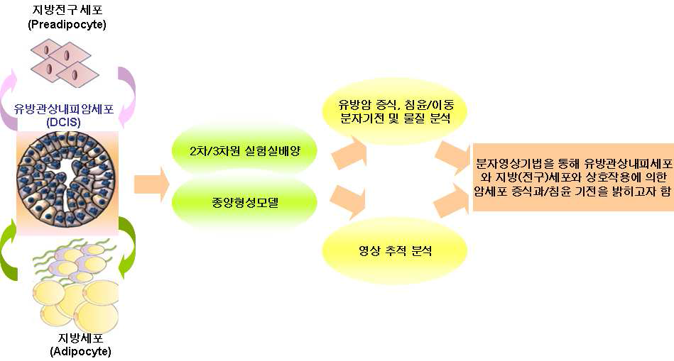 연구과제의 개요도식