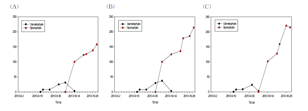체와 포자체 성장: (A) 14℃; (B) 19℃; (C) 23℃
