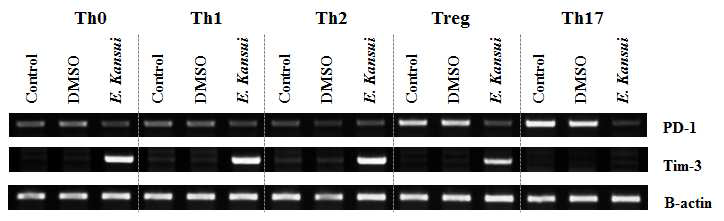 Th0, Th1, Th2, Treg, Th17 조건에서 PD-1과 Tim-3 발현량