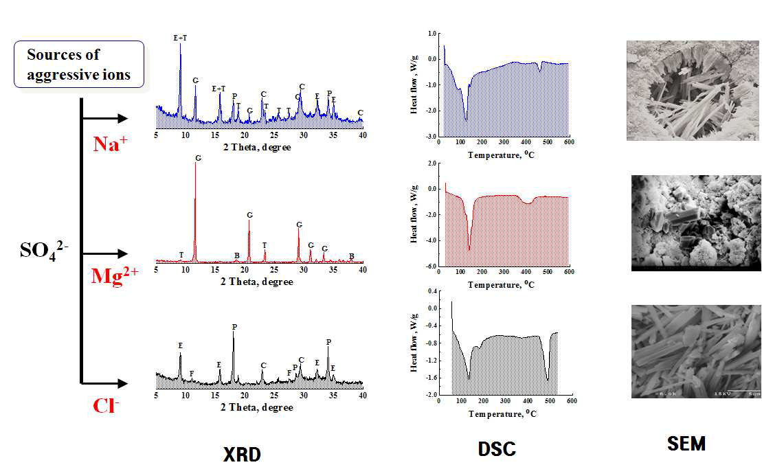 반응이온별 황산염침식을 받은 콘크리트의 미세구조적 관찰 (XRD, DSC 및 SEM 분석결과)