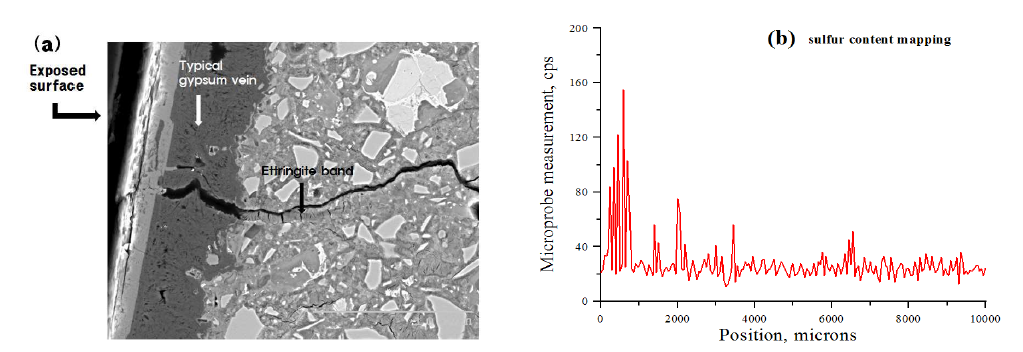 황산염침식을 받은 콘크리트의 (a) SEM image 및 (b) microprobe 측정 결과