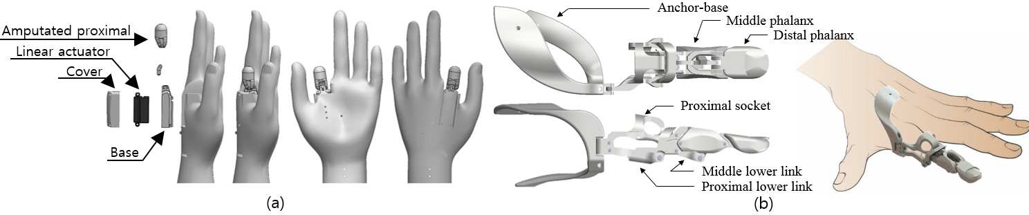 제안된 손가락 메커니즘을 이용한 부분의수 모델; (a) 실험 구성을 위한 절단장애인 모형 손, (b) 제안된 손가락 의수 모델 및 착용 이해도