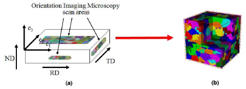 (a) EBSD 측정 영역과 (b) 전산모사된 3차원 미세조직
