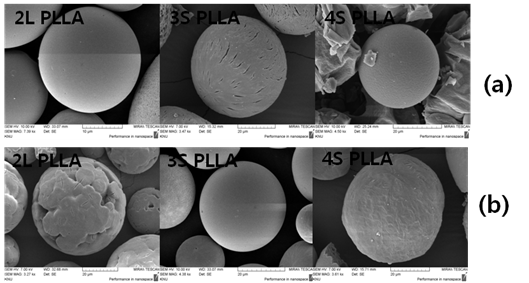 SEM photographs of polymers in bulk polymerization; (a) [LA]/[Cat.]=400, [LA]/[I]=50, (b) [LA]/[Cat.]=200, [LA]/[I]=50.
