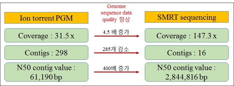 High quality genome sequence