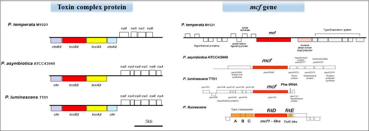 Toxin gene 비교 분석