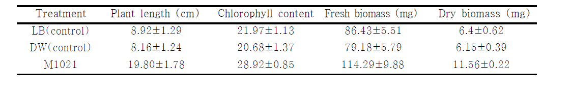 P. temperata M1021의 식물생장 영향 확인