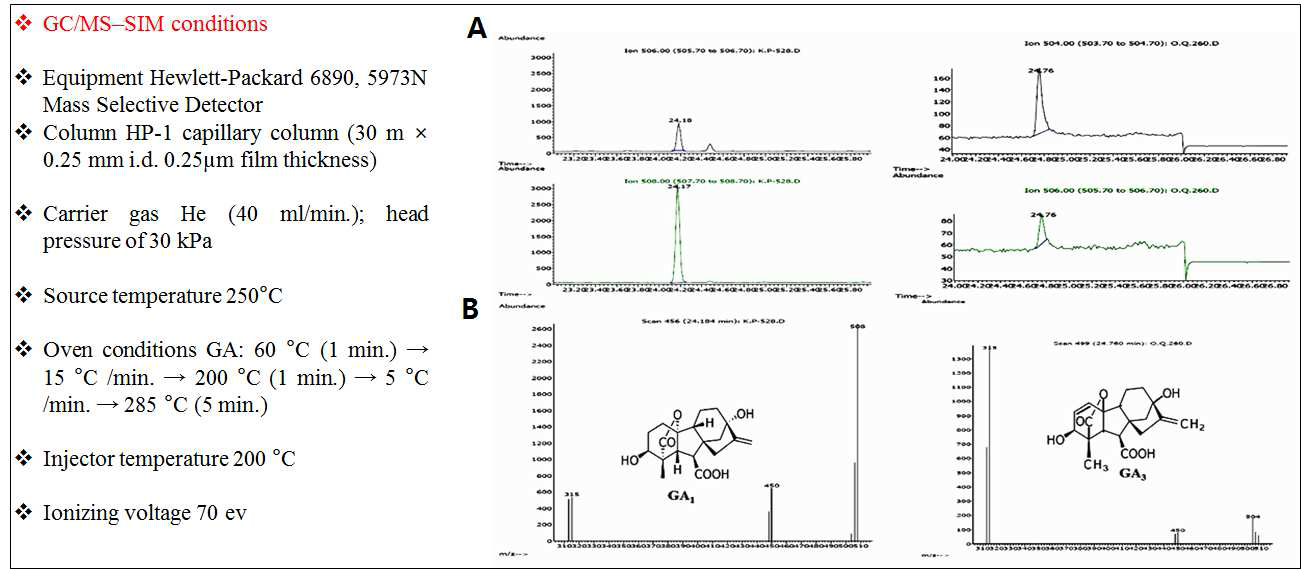 GC-MS 분석 조건, GC chromatogram