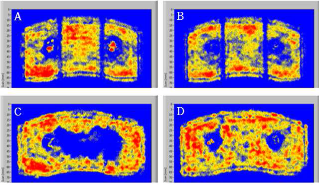 Results of Noncontact Air-coupled Ultrasonic Testing for brake pad