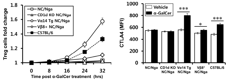 NC/Nga 생쥐에서 iNKT 세포의 변화에 따른 Treg 세포의 분포 및 CTLA4 발현 변화 관찰.