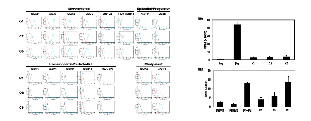 타액선 줄기세포의 세포표면 단백 분석(FACS)과 T cell supression assay