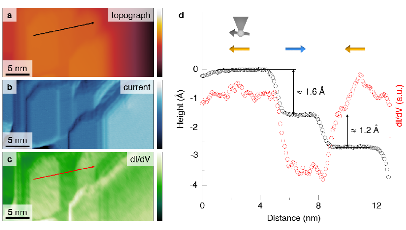 A sputter-annealed Cr surface topograph, a, and simultaneously taken current image, b, and dI/dV image, c, at bias condition of (-50 mV, 200 pA). d, The spin-contrast shown in cross-sections of topograph and dI/dV along a line marked with arrows in a and c. (Ref. Nature Materials (submitted))