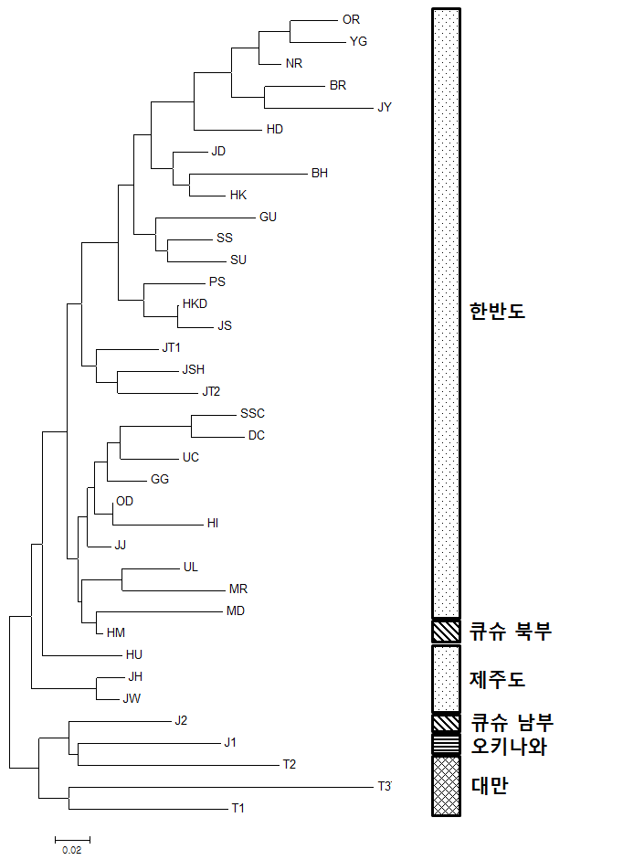 유전적 거리에 기반한 동백나무 37개 개체군의 유전적 관계