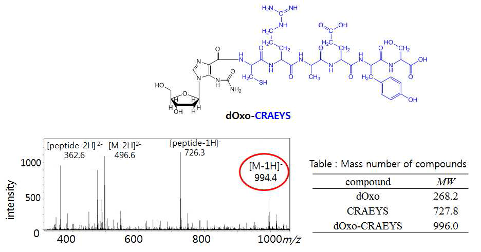 dOxo와 N-terminal Cysteine 포함 Polypeptide (CRAEYS) 반응물의 ESI-TOF-MS 분석