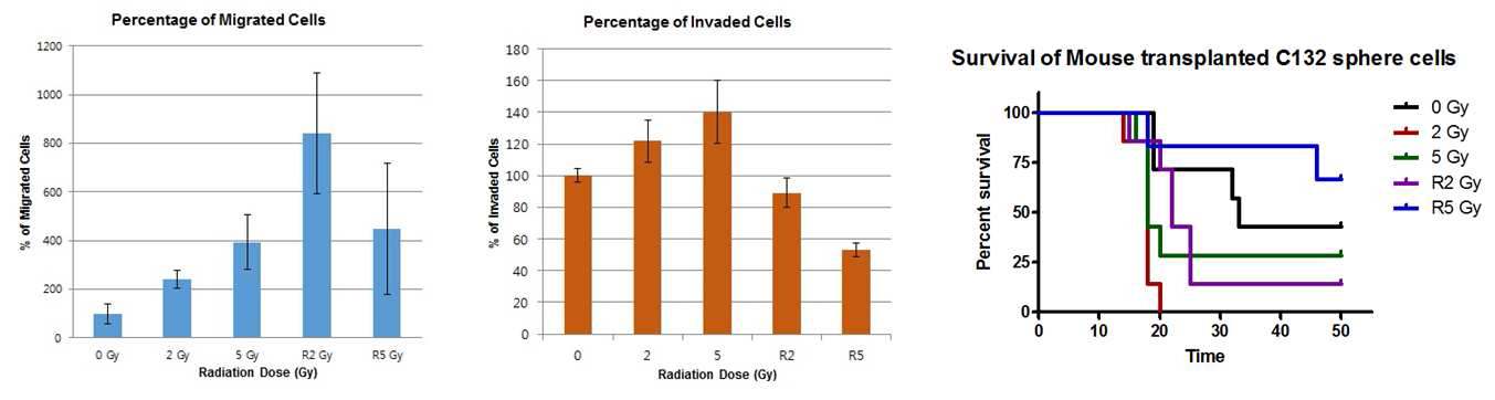 Migration, Invasion assay and survival curve for tumorigenicity of sphere cells