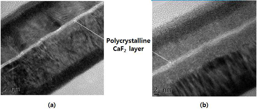 (a) Polycrystalline Co 상,하부 전극 사이 및 (b) amorphous CoFeB 상, 하부 전극 사이의 CaF2 터널장벽층을 삽입한 자기터널접합의 단면 TEM 이미지.