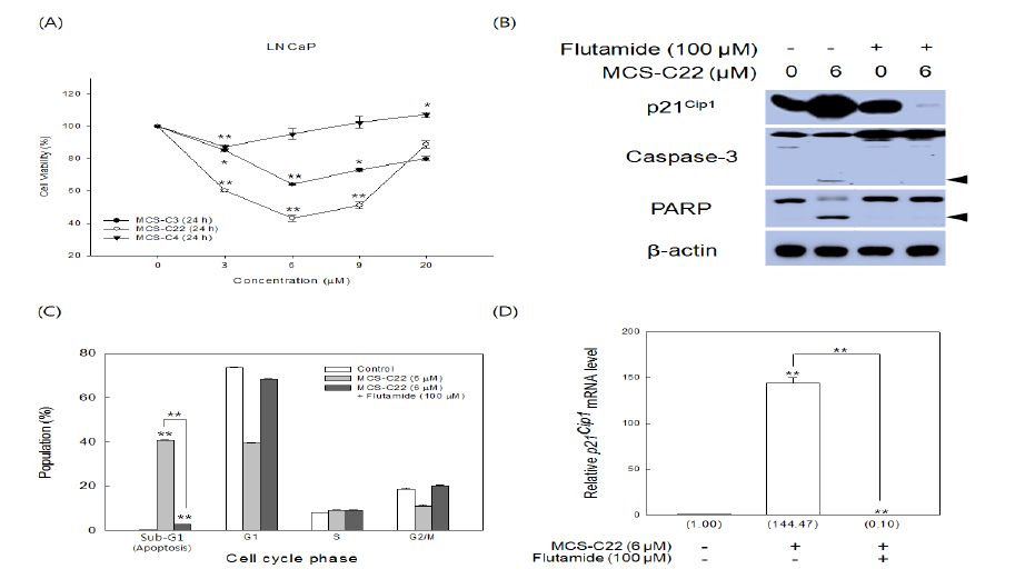 Effect of MCS-C22 in LNCaP cells