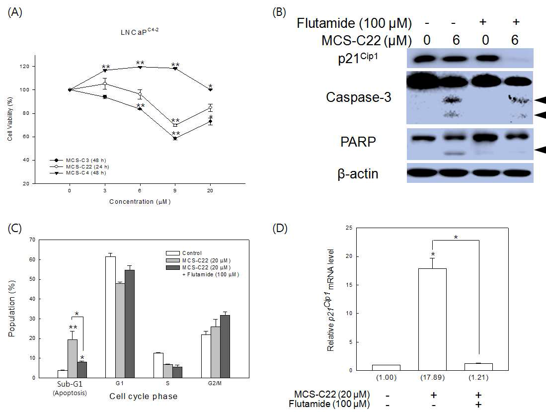 Effect of MCS-C22 in C4-2LNCaP cells