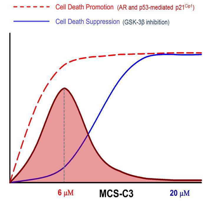 Hypothetical regulation of cell death promoting and suppressive signal in MCS-C3-treated LNCaP cells