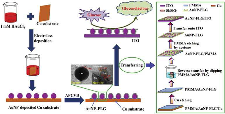 AuNP-FLG 나노하이브리드 제조 공정