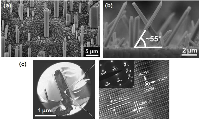 MOCVE로 성장된 GaN 마이크로 막대의 전자현미경(SEM) 사진