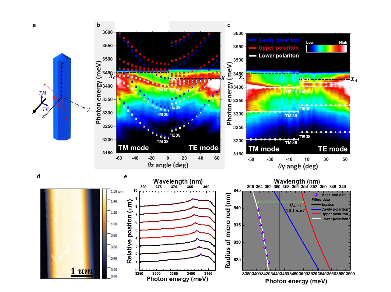 (a). 마이크로 막대의 전기장의 편광 방향의 자유도와 각도에 대한 정의를 나타내는 모식도. (b). z축 θ방향으로 측정한 E-k 분산관계와 행렬 계산을 통해 fitting한 그래프 (흰색은 Lower polariton, 빨간색은 upper polariton, 파란색은 cavity polariton, 검은색은 엑시톤의 분산관계) (c). y축 θ방향으로 측정한 E-k 분산관계와 행렬 계산을 통해 fitting한 그래프. (d). 측정한 마이크로 막대의 AFM 이미지로 측정 결과 밑에서부터 위로 갈수록 25 nm의 반지름 차이를 확인 (e). TM 모드에 대한 위치 변화에 따른 측정한 θ z=0에서의 PL intensity(좌), 위치에 따라 변화하는 막대의 반지름에 의해 공진기 에너지 변화를 통한 반대교차 (anti-crossing) 측정 결과(우).