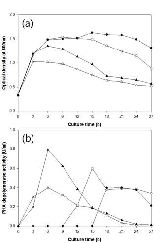 Effect of the various Tween 20 concentrations on cell growth (a) and MCL-PHA depolymerase activity (b) of Pseudomonas aestusnigri M13-3 growth in a jar fermentation containing 3 L of M9 mineral medium containing Tween 20 concentration of 2 g/L (△), 4 g/L (▲), 6 g/L (○), 8 g/L (●) as sole carbon source