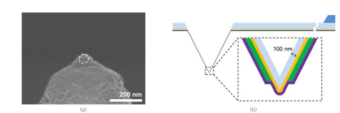 (a) 완성된 UTOT 탐침의 첨단, (b) Tip의 실리콘산화막을 극도로 얇게한 UTOT 탐침의 모식도