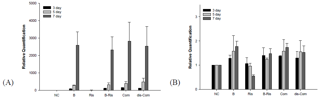 Expression of mRNA related to osteoblastic differentiation marker under treatment of various formulations; NC (negative control), rhBMP2 (herein named as B), chemical (Ris), Mixture of rhBMP2 and chemical (B-Ris), complex (Com), rhBMP2 resolubilized from the complex (dis-Com). (A); ALP, (B); Type I collagen.