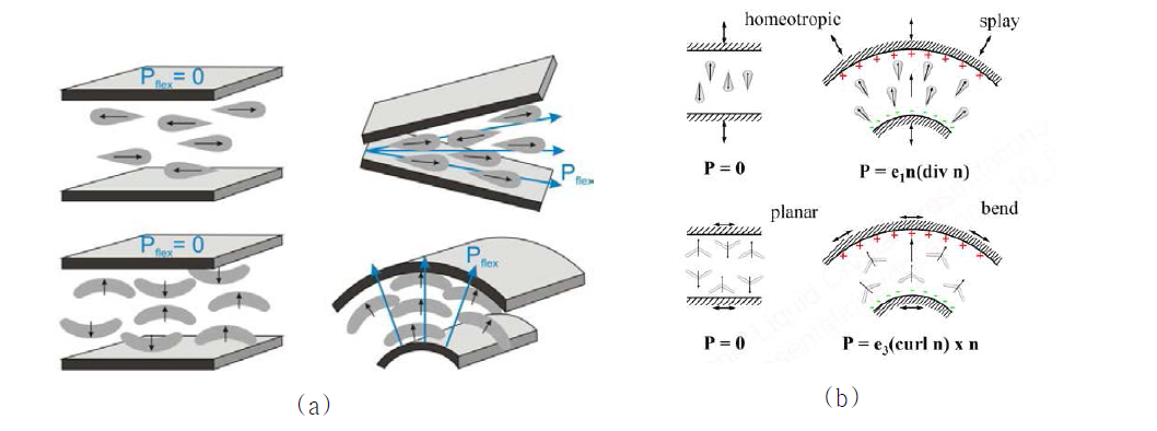 Splay 및 and bent 변형에 의하여 유도된 polarization: (a) 입체도; (b) 평면도
