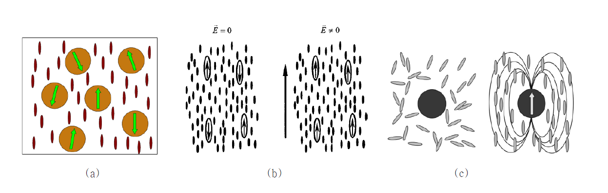 강유전성 나노입자를 액정분자에 분산시킨 혼합물의 분자배열상태: (a) 나노입자 dipole moment의 배향분포; (b)dc-field 인가 전후; (c) 등방성 및 네마틱 상