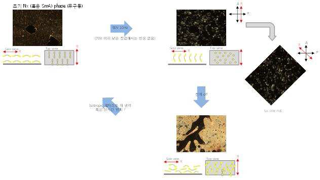 Compound IIc Nx (혹은 SmA) phase 전압 및 주파수별 구동 현상